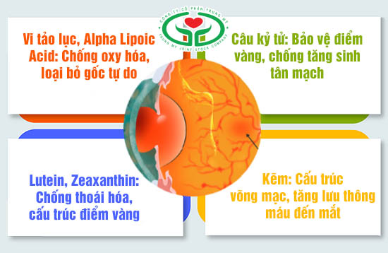 Thuốc trị thoái hóa điểm vàng thể ướt được tiêm vào mắt